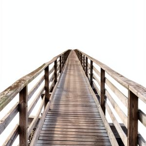 Existential Psychology Insights by University Professors Press-0