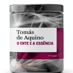 Vozes de Bolso Medieval Thought eBook Portuguese Edition 62 Pages-0
